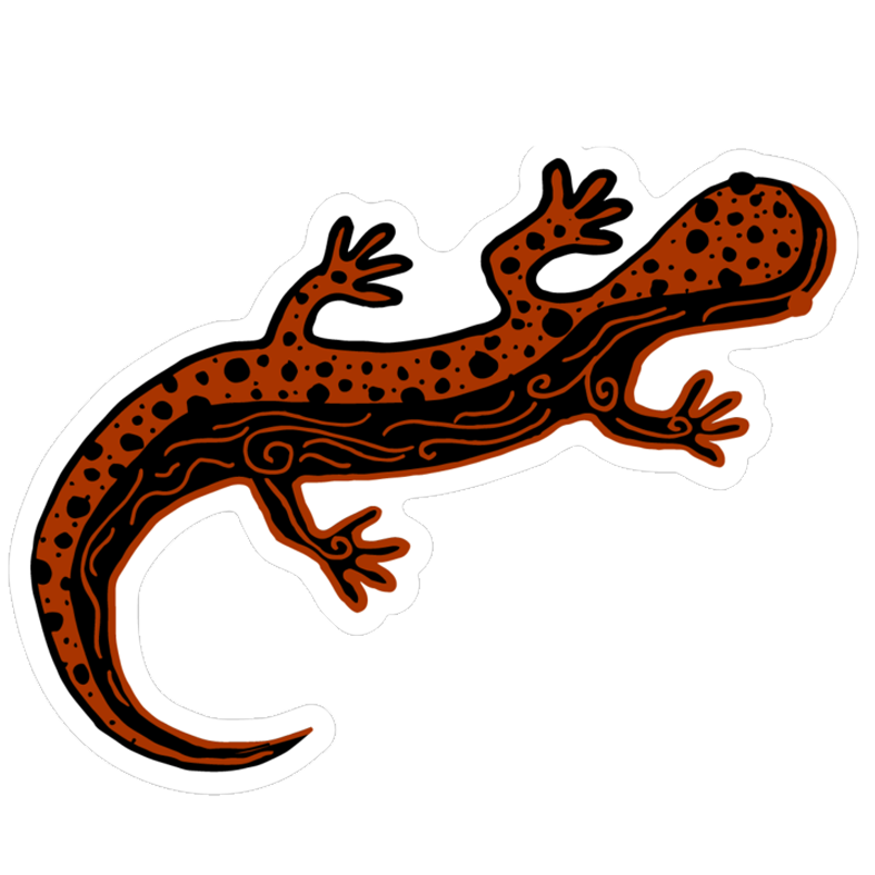 Sidewinder the Salamander Sticker