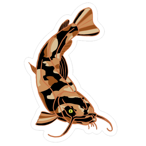 Calico Catfish Sticker